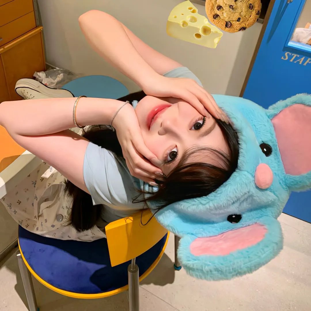 大明天子
